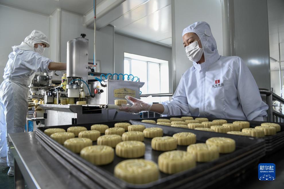 玛丽水果机下载